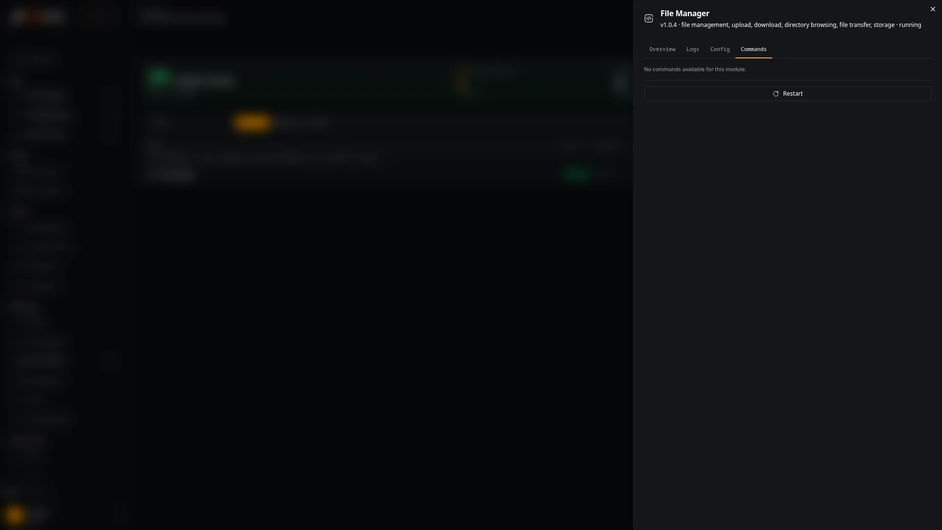 Module detail drawer, Commands tab